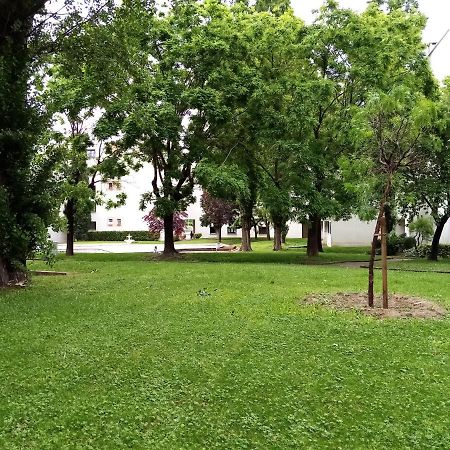 Chambre Double Rosalie En Colocation Montpellier Exterior foto